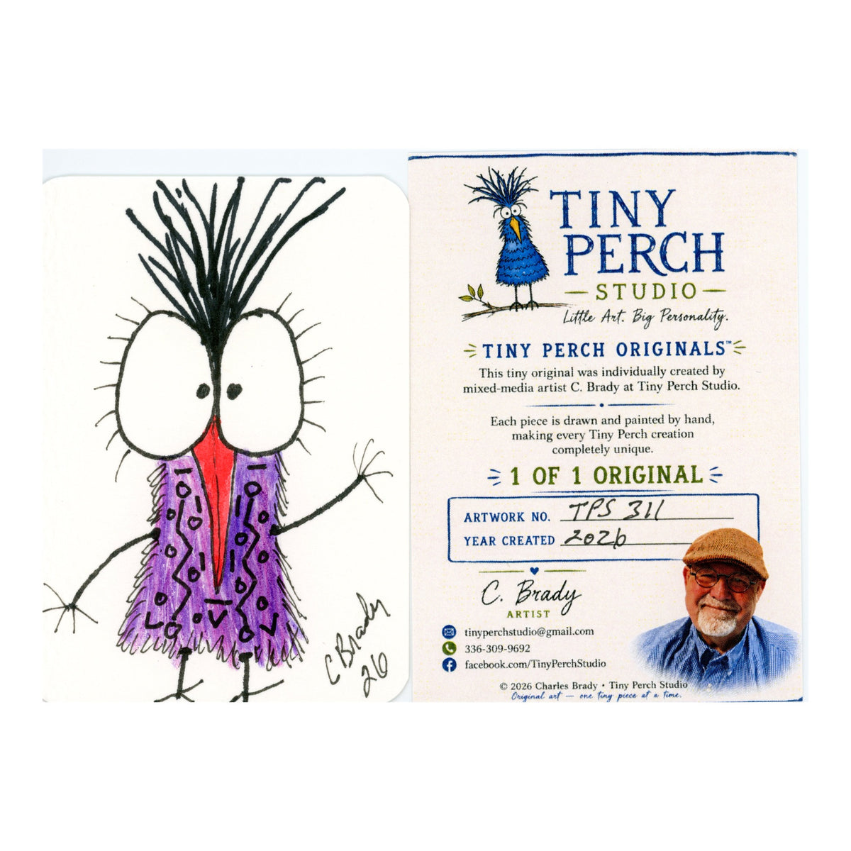 Tiny Perch Original TPS-311 – Doodle Dee – 1-of-1 Original Art